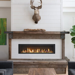 Premium 4415 High-Output Linear by Fireplace Xtrordinair – Higgins