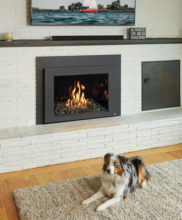 616 Mod-Fyre Gas Burning Fireplace Insert