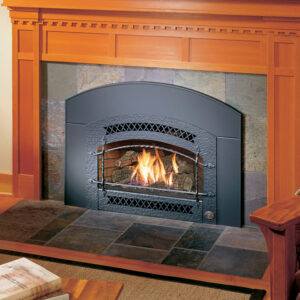 32 DVS Deluxe Gas Insert by Fireplace Xtrordinair