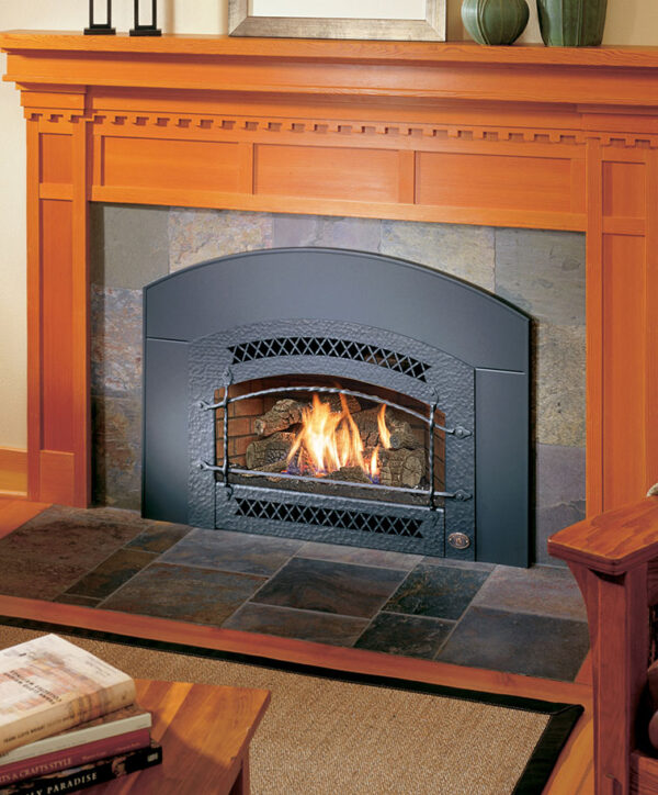 32 DVS Deluxe Gas Insert by Fireplace Xtrordinair