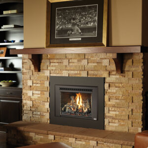 430 Deluxe Ember-Glo Gas Insert by Fireplace Xtrordinair