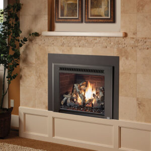 616 Deluxe Gas Insert by Fireplace Xtrordinair