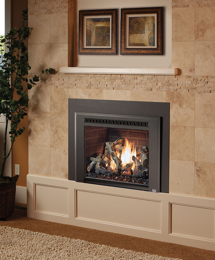 616 Deluxe Gas Insert by Fireplace Xtrordinair