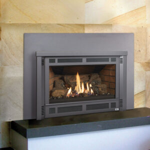 Lopi Radiant Plus Medium Gas Insert by Lopi