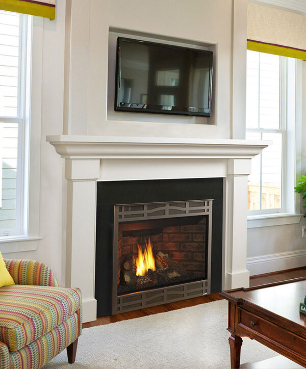 Novus Gas Fireplace Series by Heatilator