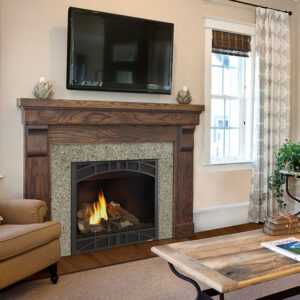 Novus Gas Fireplace Series by Heatilator