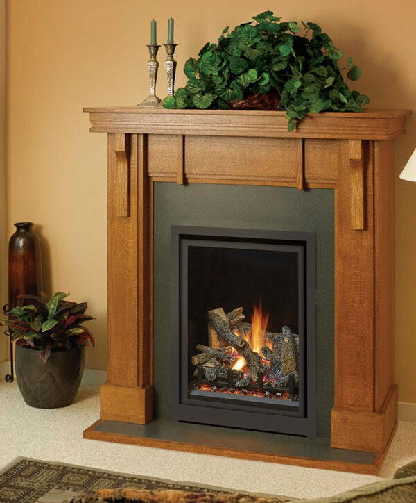 Probuilder 24 Clean Face Gas Fireplace by Fireplace Xtrordinair