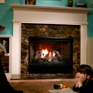 Reveal Gas Fireplace by Heatilator