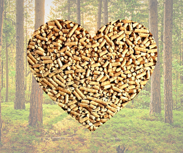 Wood Pellets 101: What You Need to Know About Buying and Burning Pellets –  Higgins Energy Alternatives